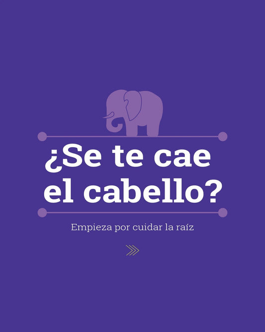 Caída del cabello en primavera: por qué se produce y cómo prevenirla