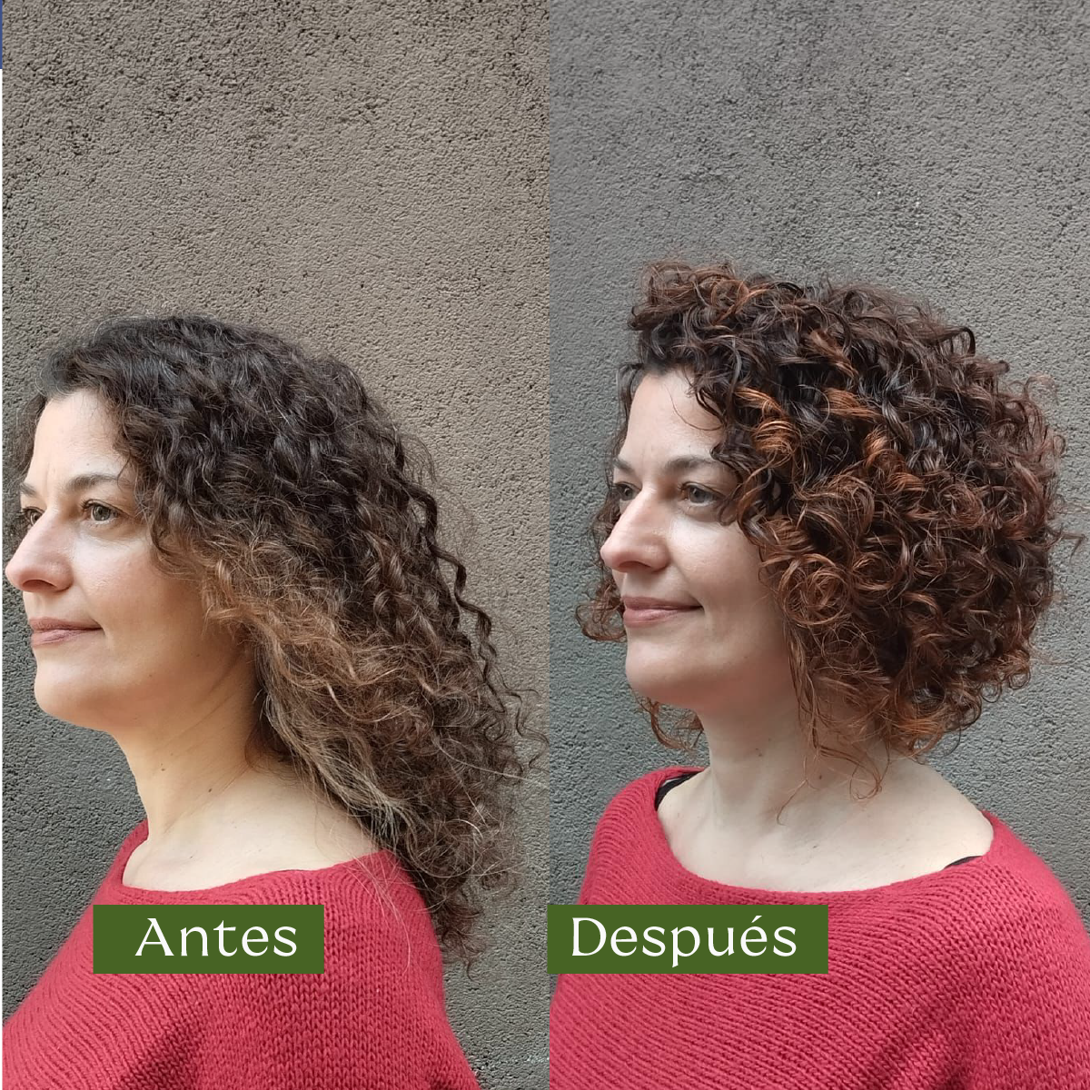 Cabello Rizado. Curly Bio